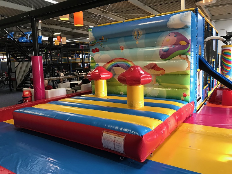 Verbinding detectie eiwit Springkussen indoor speeltuin kopen - Jump Factory | Quality Inflatables