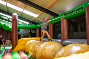 Inflatable Park Mega Balls - Jump Factory